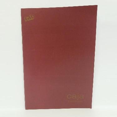 Libro Rab Caja Contabilidad Serie 2233-c3