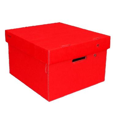 Caja De Archivos Gs Grande Rojo
