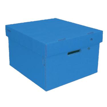 Caja De Archivos Gs Grande Azul