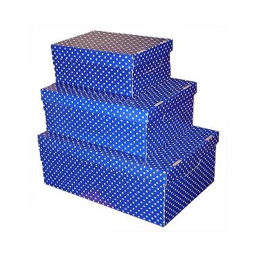 Caja de Archivo Gs Box Pintitas Azul Grande