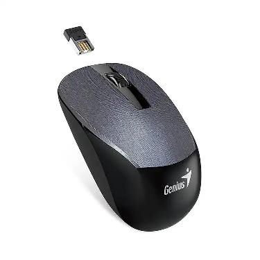 Mouse Genius NX-7010 Wireless USB Blueeye Gris Art.#31030018405
